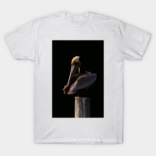 Pelican at Sunset T-Shirt